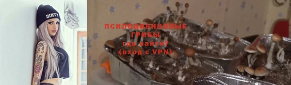 гидропоника Богородск