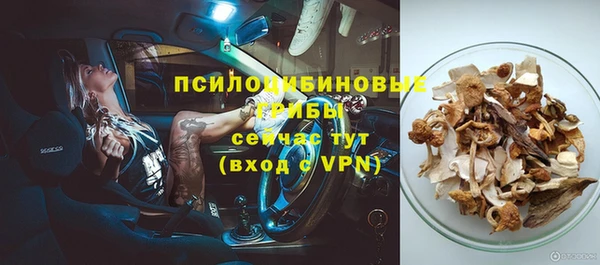 мескалин Богородицк