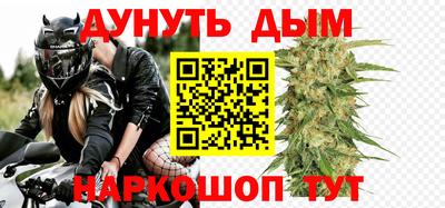 шишки Можга