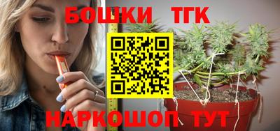 шишки Можга