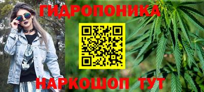 шишки Можга