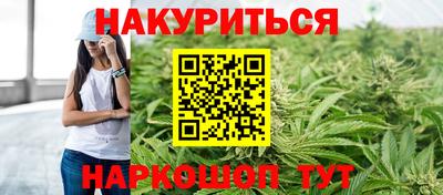 шишки Можга
